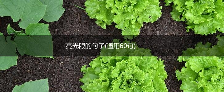亮光眼的句子(通用60句),第1张