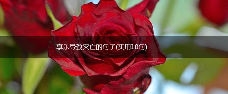 享乐导致灭亡的句子(实用10句),第1张
