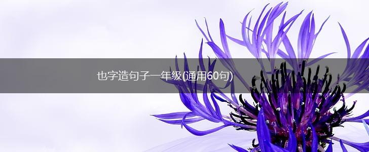 也字造句子一年级(通用60句),第1张
