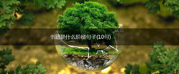 书籍是什么阶梯句子(10句),第1张