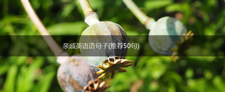 亲戚英语造句子(推荐50句),第1张