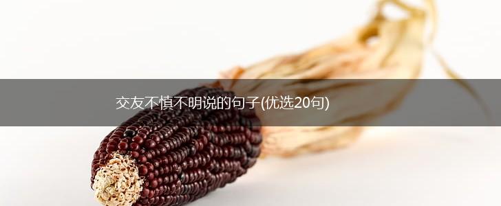 交友不慎不明说的句子(优选20句),第1张