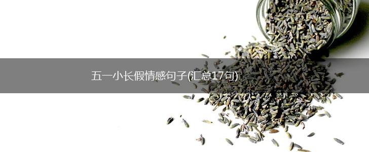 五一小长假情感句子(汇总17句),第1张