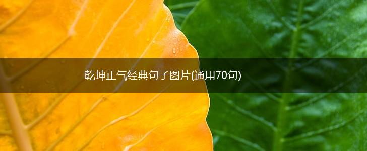 乾坤正气经典句子图片(通用70句),第1张