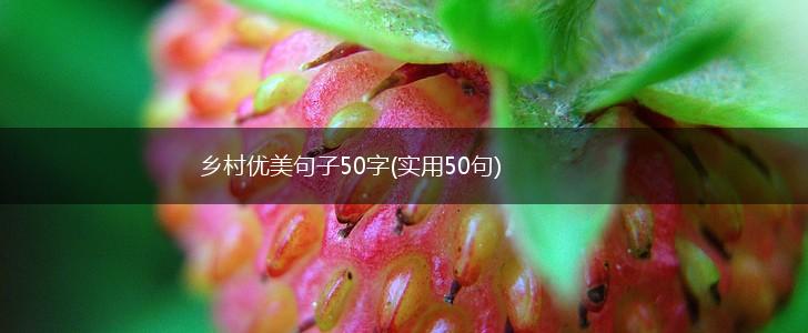 乡村优美句子50字(实用50句),第1张