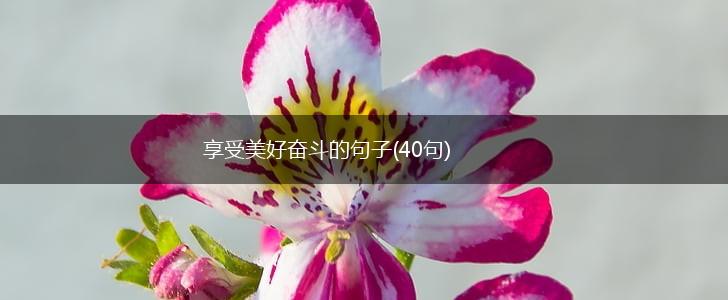享受美好奋斗的句子(40句),第1张