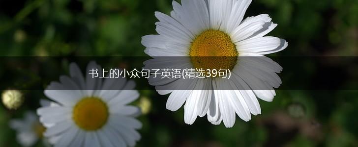 书上的小众句子英语(精选39句),第1张