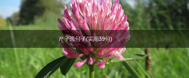 产子造句子(实用39句),第1张