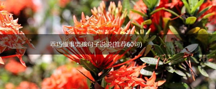 乖巧懂事男孩句子说说(推荐60句),第1张