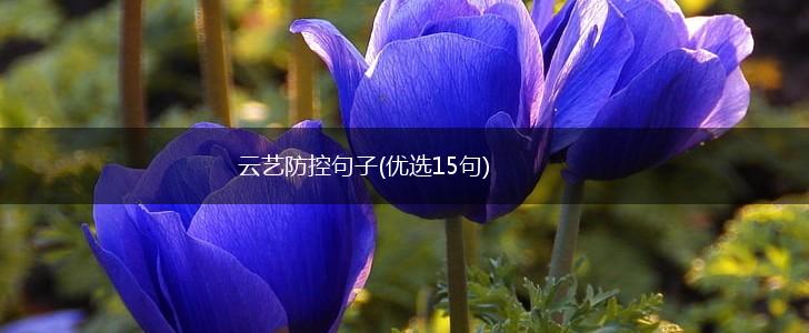 云艺防控句子(优选15句),第1张