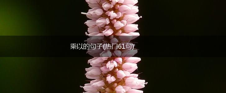乘以的句子(热门61句),第1张