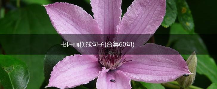 书匠画横线句子(合集60句),第1张
