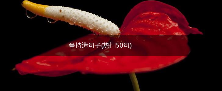 争持造句子(热门50句),第1张