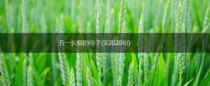 五一长假的句子(实用20句),第1张