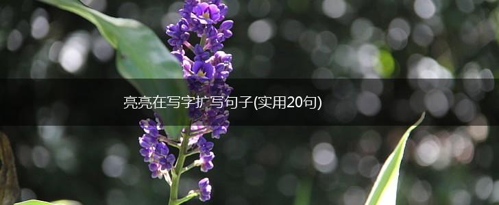亮亮在写字扩写句子(实用20句),第1张