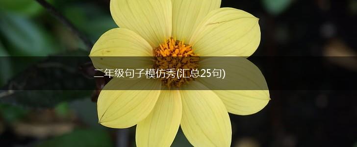 二年级句子模仿秀(汇总25句),第1张