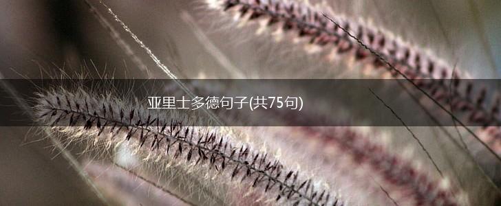 亚里士多德句子(共75句),第1张