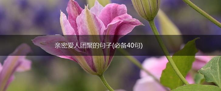 亲密爱人团聚的句子(必备40句),第1张