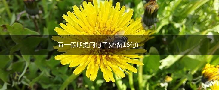 五一假期提问句子(必备16句),第1张