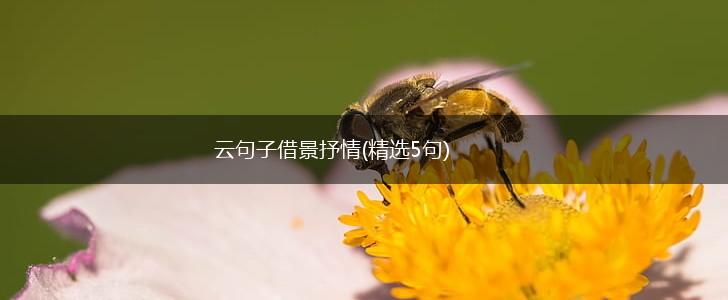 云句子借景抒情(精选5句),第1张
