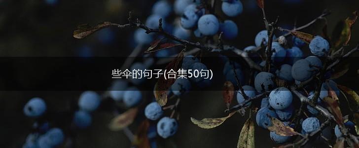 些伞的句子(合集50句),第1张