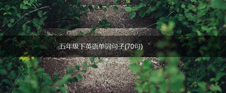 五年级下英语单词句子(70句),第1张