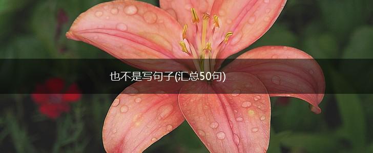 也不是写句子(汇总50句),第1张