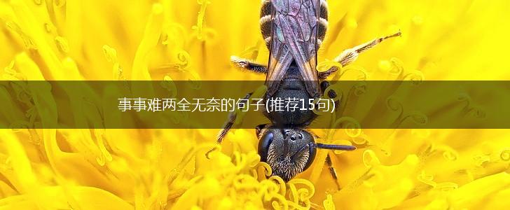 事事难两全无奈的句子(推荐15句),第1张