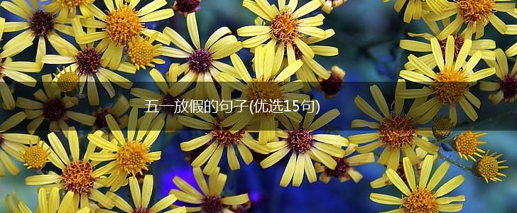 五一放假的句子(优选15句),第1张