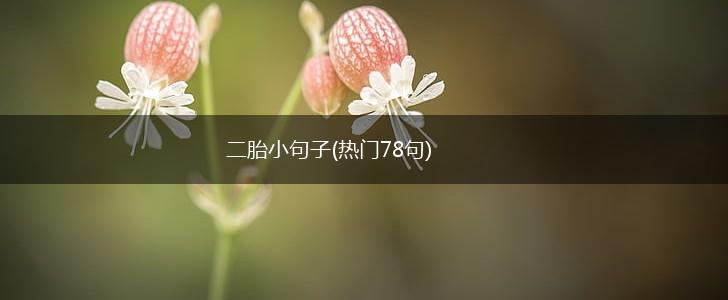 二胎小句子(热门78句),第1张