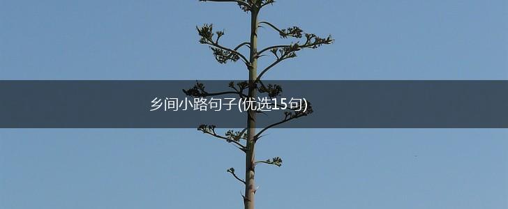 乡间小路句子(优选15句),第1张