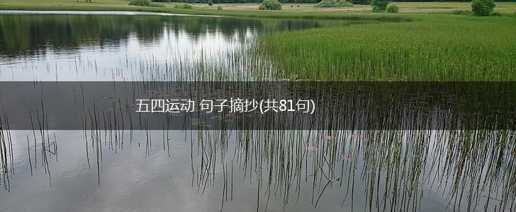 五四运动 句子摘抄(共81句),第1张