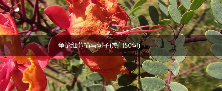 争论细节描写句子(热门50句),第1张