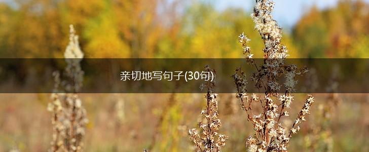 亲切地写句子(30句),第1张