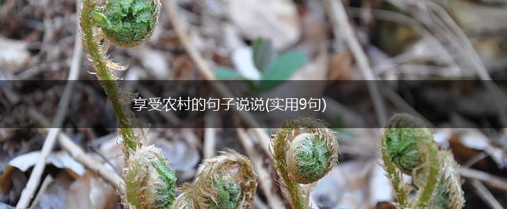 享受农村的句子说说(实用9句),第1张