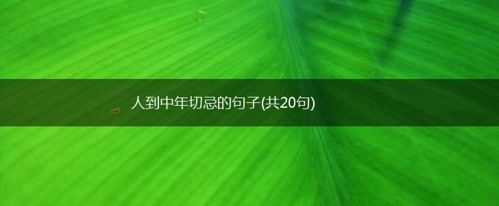 人到中年切忌的句子(共20句),第1张