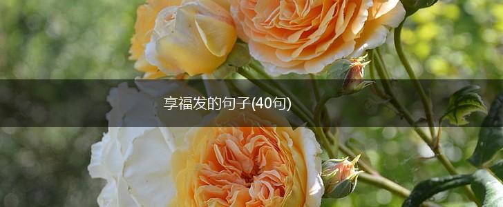享福发的句子(40句),第1张