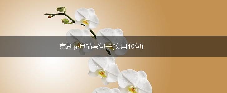 京剧花旦描写句子(实用40句),第1张