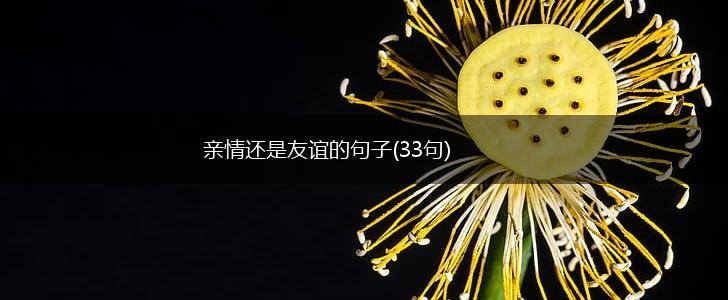 亲情还是友谊的句子(33句),第1张