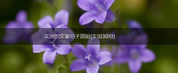 买房的文案句子简短(实用30句),第1张