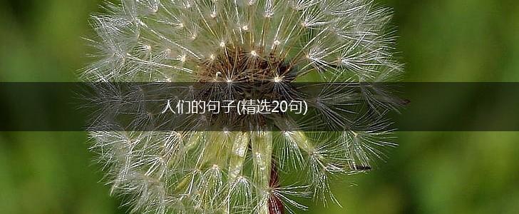 人们的句子(精选20句),第1张