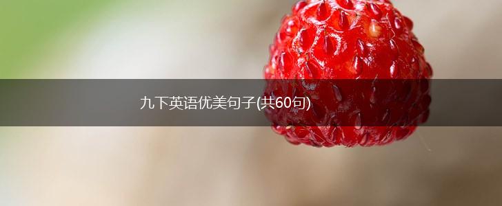 九下英语优美句子(共60句),第1张