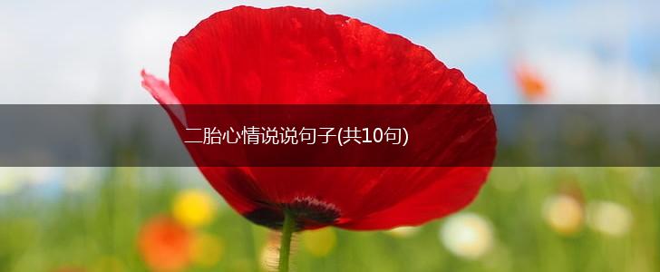 二胎心情说说句子(共10句),第1张
