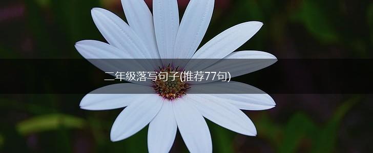 二年级落写句子(推荐77句),第1张