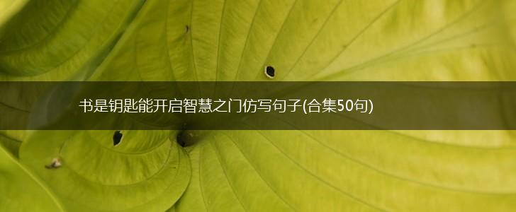 书是钥匙能开启智慧之门仿写句子(合集50句),第1张