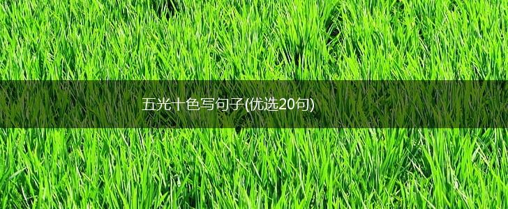 五光十色写句子(优选20句),第1张