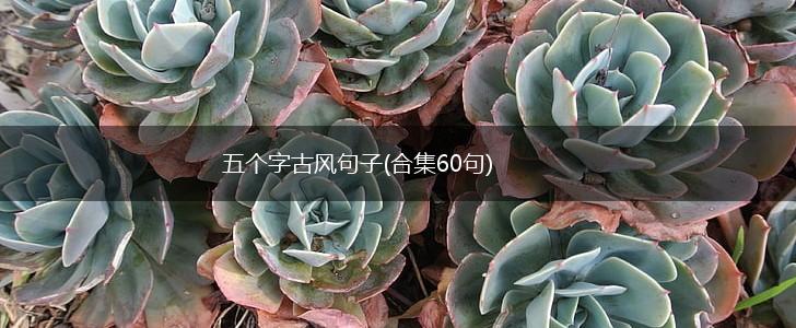 五个字古风句子(合集60句),第1张