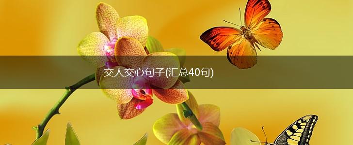 交人交心句子(汇总40句),第1张