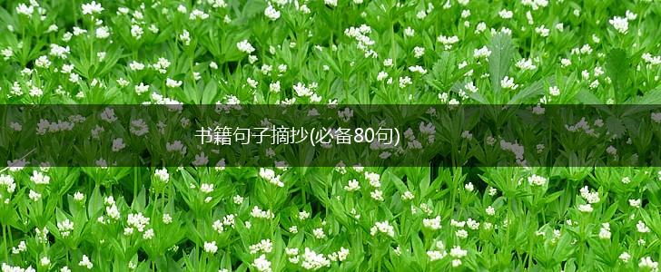 书籍句子摘抄(必备80句),第1张