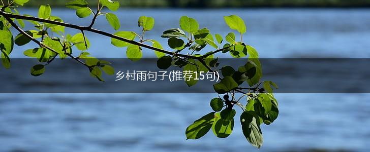 乡村雨句子(推荐15句),第1张